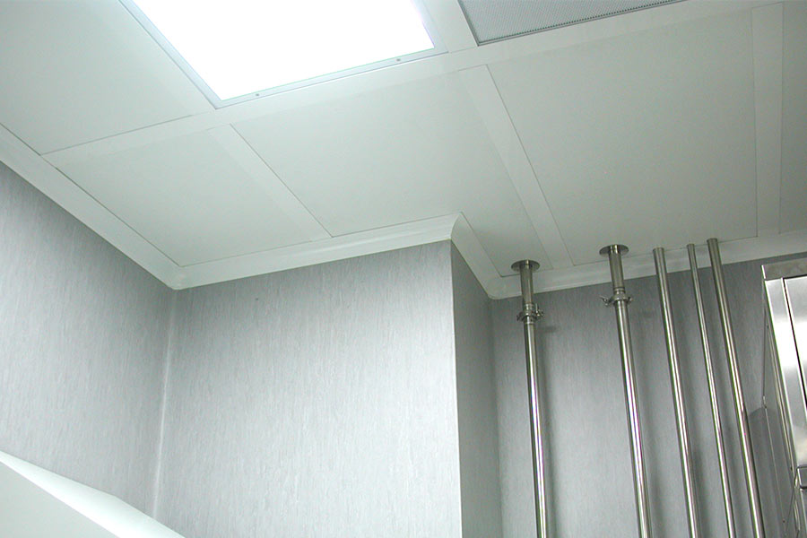 DeltaCEILING ceilings for cleanrooms Delta2000 (2)